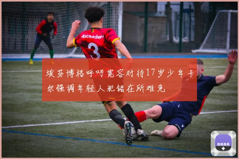 埃芬博格呼吁宽容对待17岁少年卡尔强调年轻人犯错在所难免