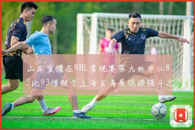 山东蜜獾在NBL常规赛第九轮中以85比93惜败于上海玄鸟展现顽强斗志