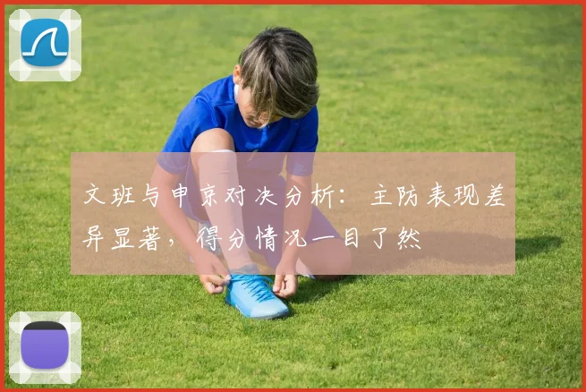 文班与申京对决分析：主防表现差异显著，得分情况一目了然