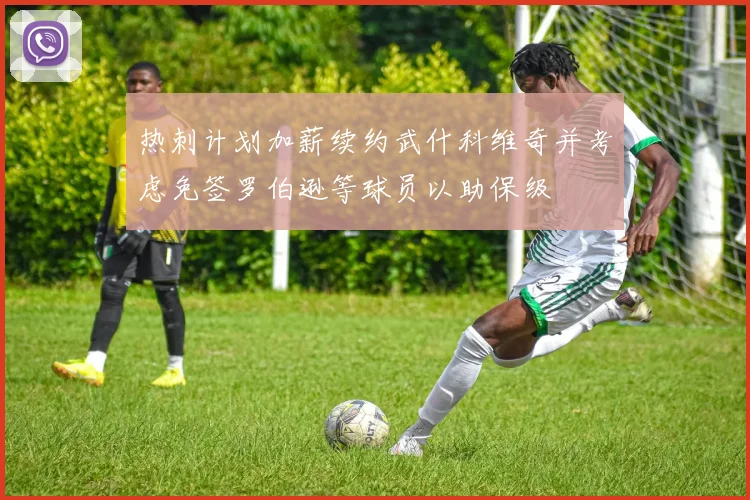 热刺计划加薪续约武什科维奇并考虑免签罗伯逊等球员以助保级