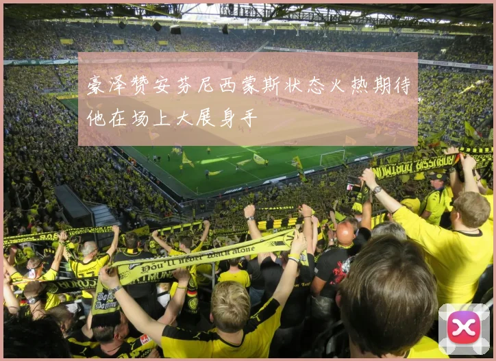豪泽赞安芬尼西蒙斯状态火热期待他在场上大展身手