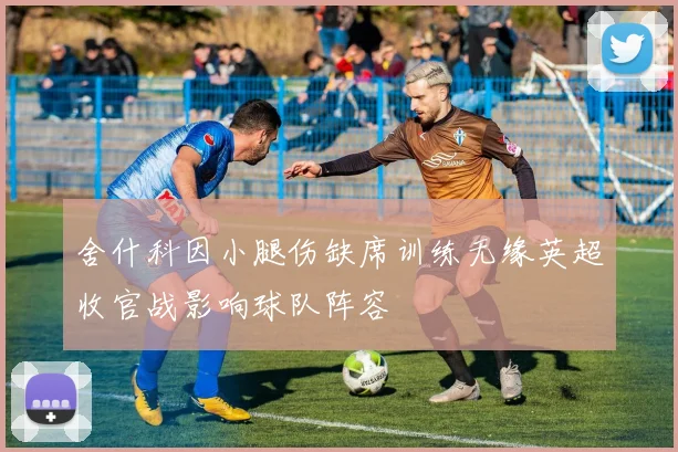 舍什科因小腿伤缺席训练无缘英超收官战影响球队阵容